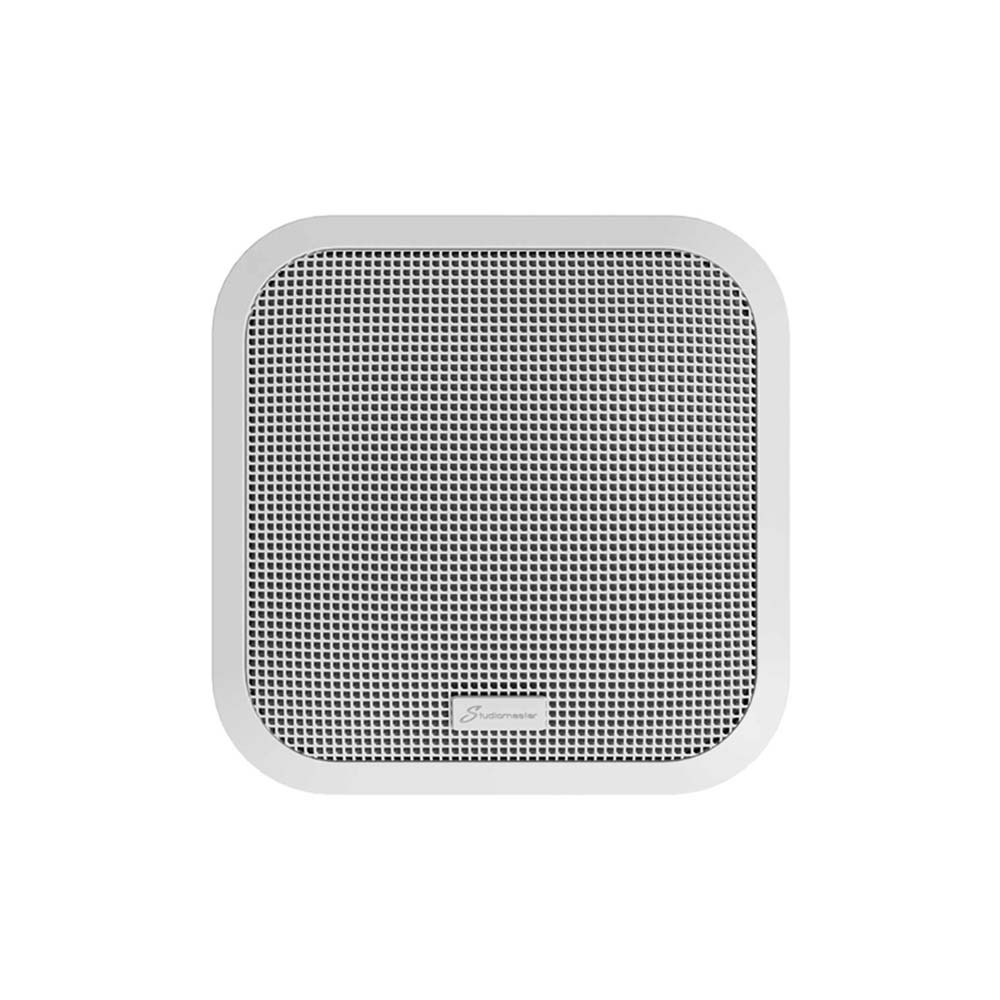 上海中美亚Studiomaster(录音大师)10寸两分频同轴音箱IS10CS正面