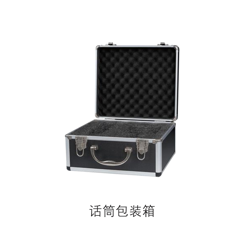 上海中美亚Studiomaster(录音大师)自适应声场处理器SM46正面
